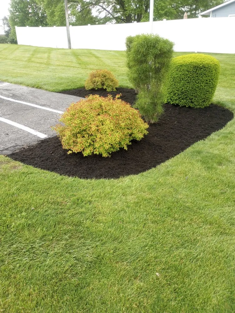 Local yard cleanup service in Troy, OH by Quinn's Mowing Service