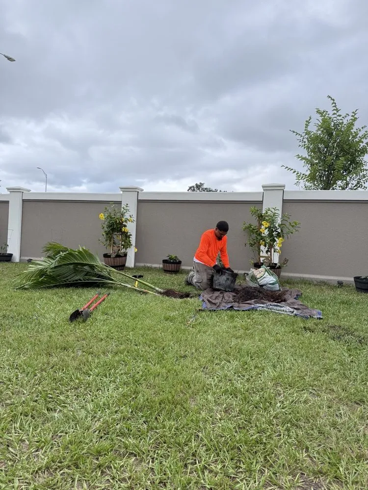 Expert outdoor landscaping for year-round maintenance across Tampa, FL - Quinn's Quality Landscape