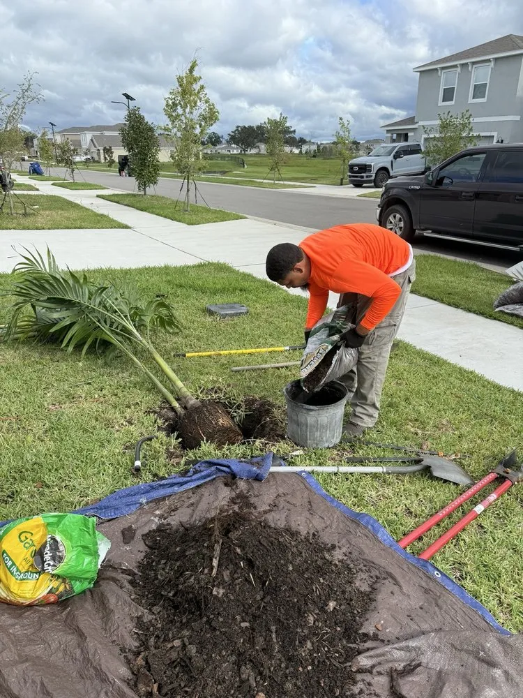Affordable landscaping services for year-round maintenance across Tampa, FL - Quinn's Quality Landscape