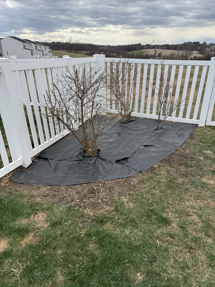 Affordable yard cleanup service in Hanover, PA by Quinones & Sons