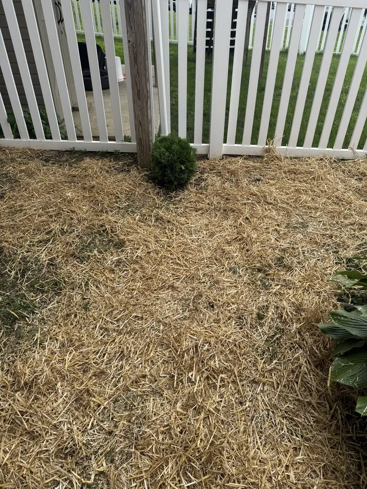 Affordable landscaping services for beautiful yards in Hanover, PA by Quinones & Sons