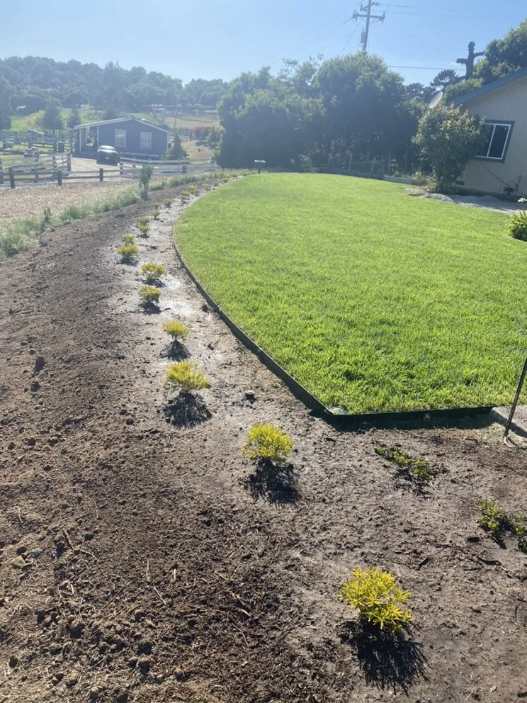 Trusted residential landscaping near you in Marina, CA by Quinones Landscaping