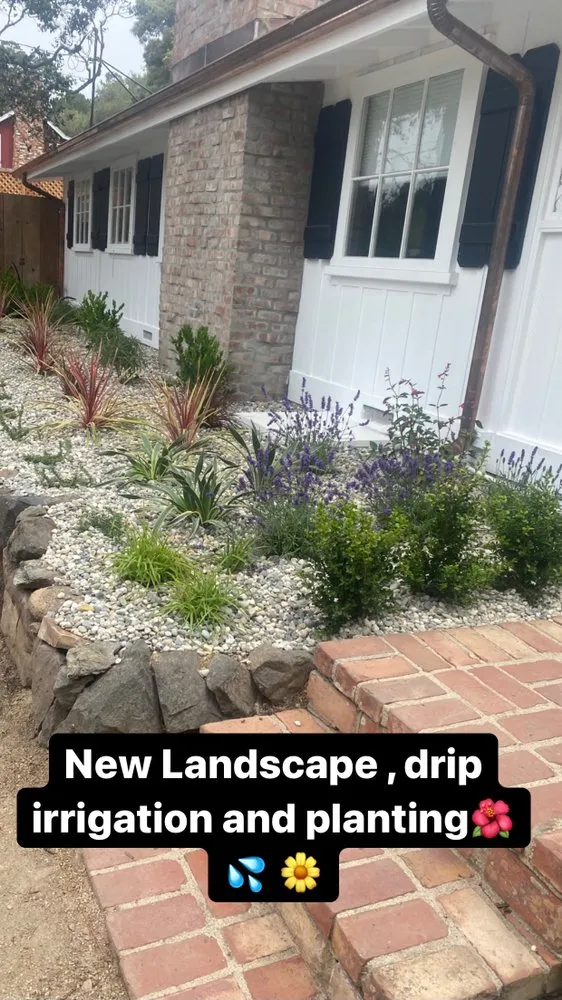 Local yard maintenance for residential properties in Marina, CA by Quinones Landscaping