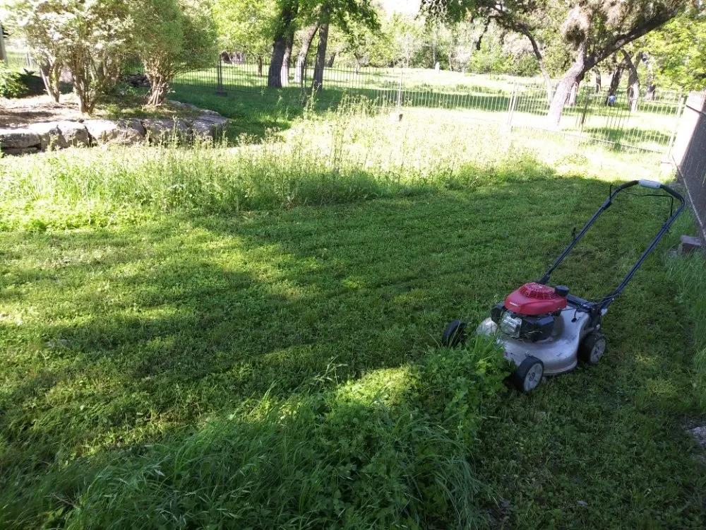 Local landscaping services for year-round maintenance across Comfort, TX - Quinones Lawn Service