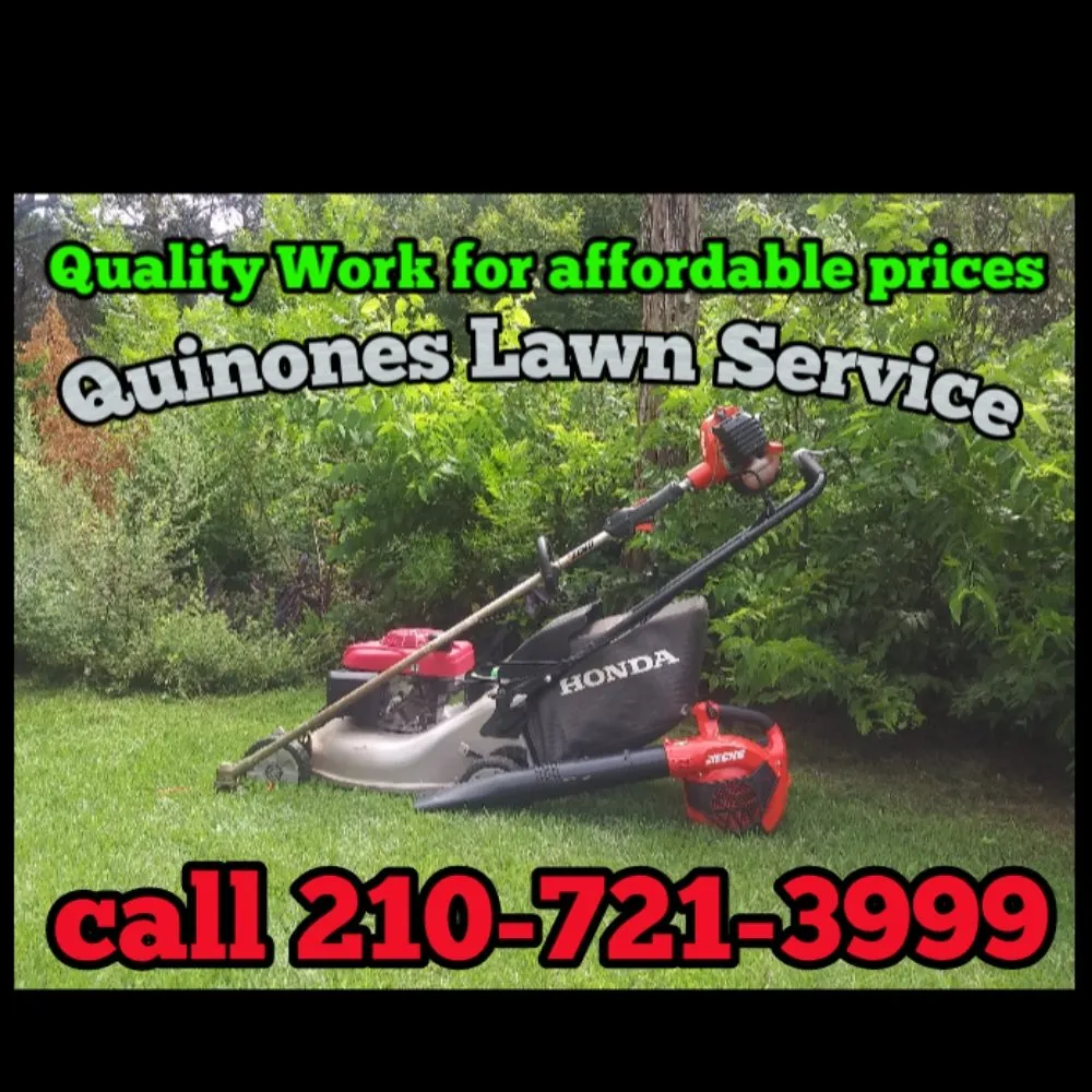 Professional landscaping services for year-round maintenance in Comfort, TX by Quinones Lawn Service