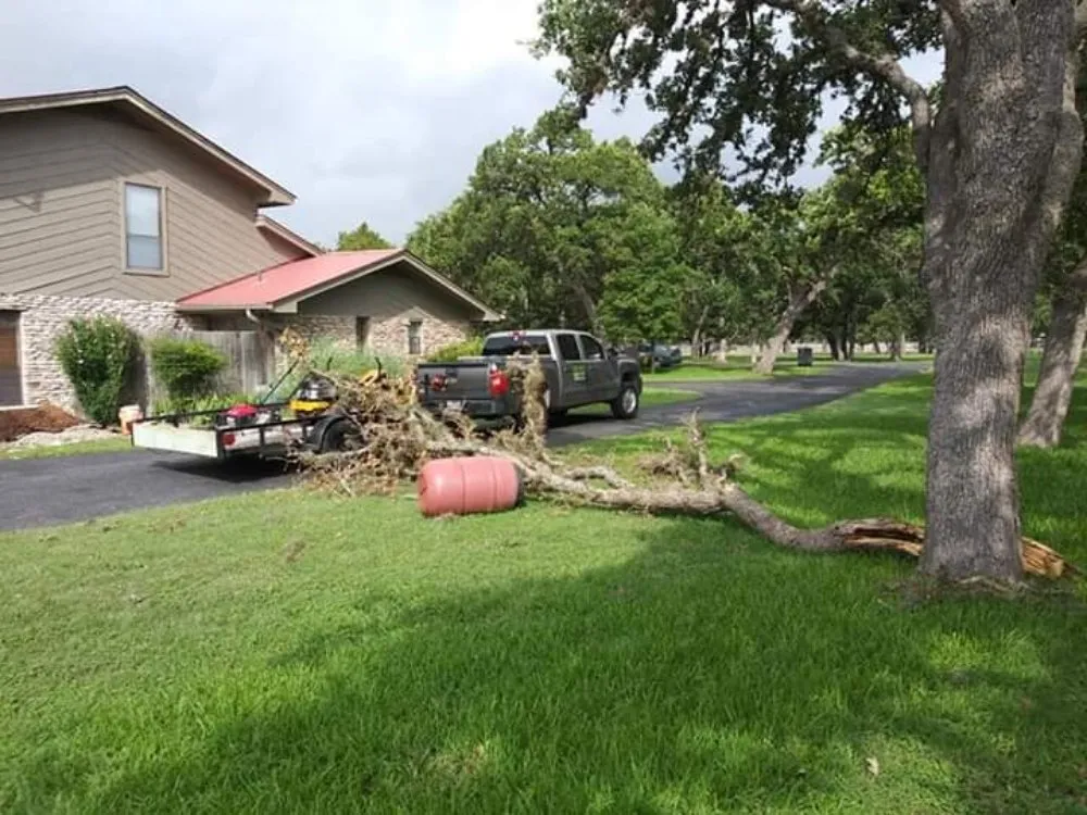 Expert lawn care service experts serving Comfort, TX - Quinones Lawn Service