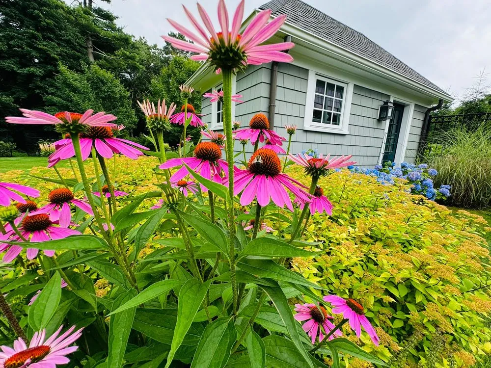 Expert lawn mowing service with custom design across Maynard, MA - Quinonez