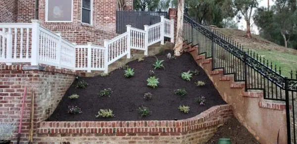 Reliable residential landscaping for beautiful yards in Irvine, CA by Quintana's Desert Landscape Design