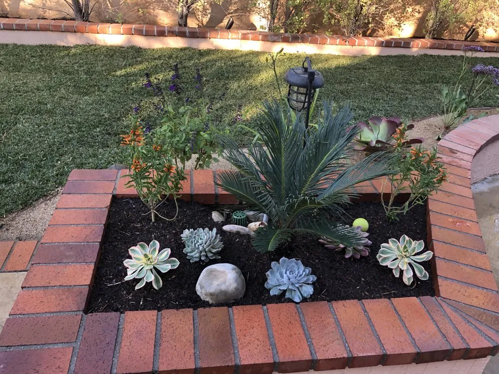 Reliable garden landscaping for homes across Irvine, CA - Quintana's Desert Landscape Design