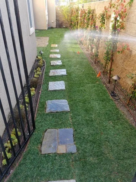 Expert lawn care service in Irvine, CA by Quintana's Desert Landscape Design