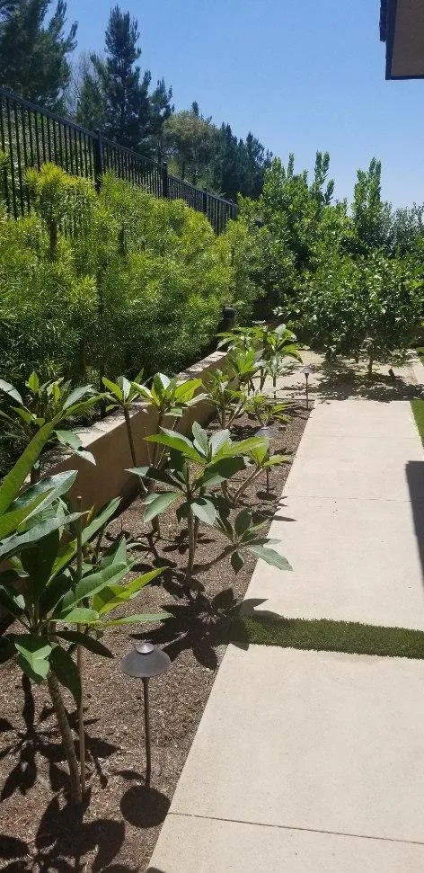 Top-rated landscape design experts serving Irvine, CA - Quintana's Desert Landscape Design