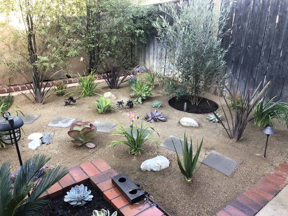 Trusted yard maintenance experts serving Irvine, CA - Quintana's Desert Landscape Design