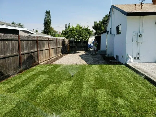 Reliable landscape design in Irvine, CA by Quintana's Desert Landscape Design