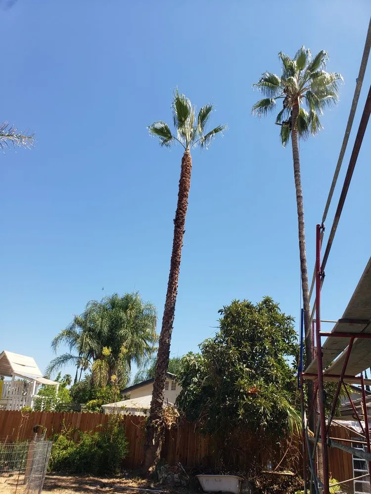 Local outdoor landscaping in Los Angeles, CA - Quintanilla Landscaping