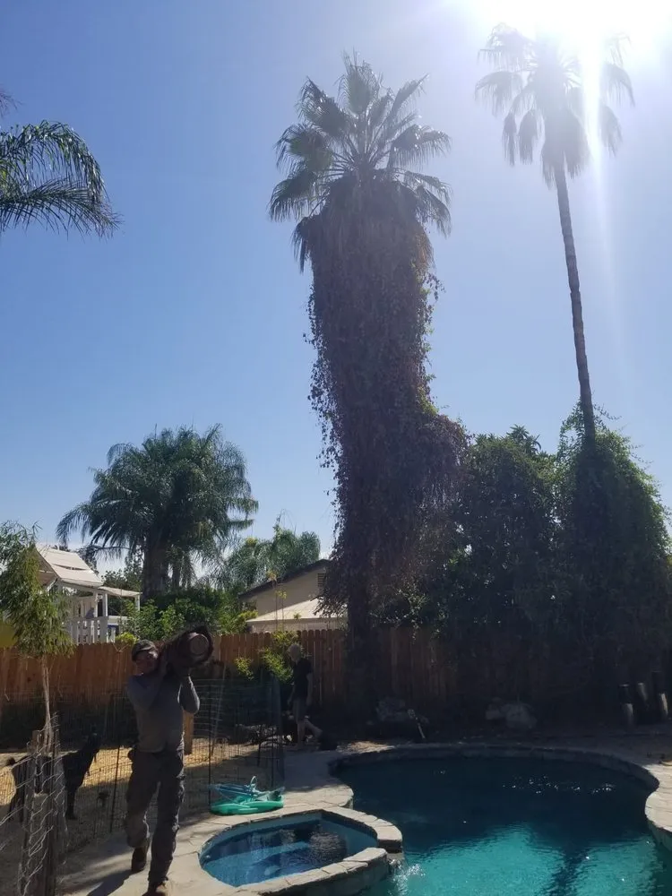 Reliable lawn mowing service for outdoor upgrades in Los Angeles, CA by Quintanilla Landscaping