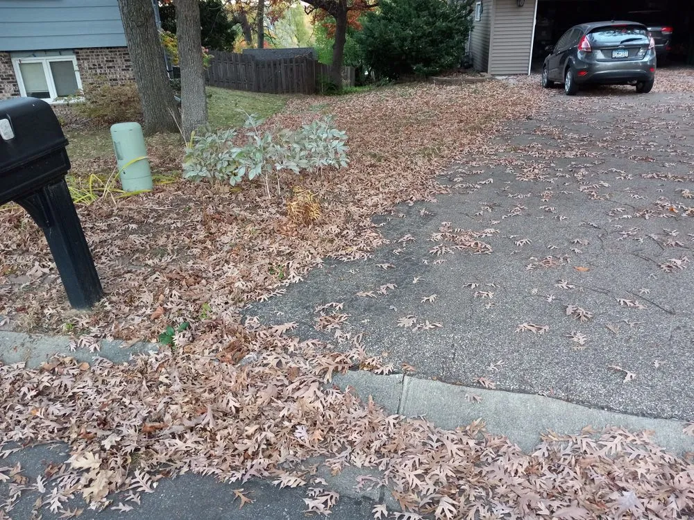 Expert residential landscaping for year-round maintenance in St. Paul, MN by Quintanilla Lawn Care And Snow Removal