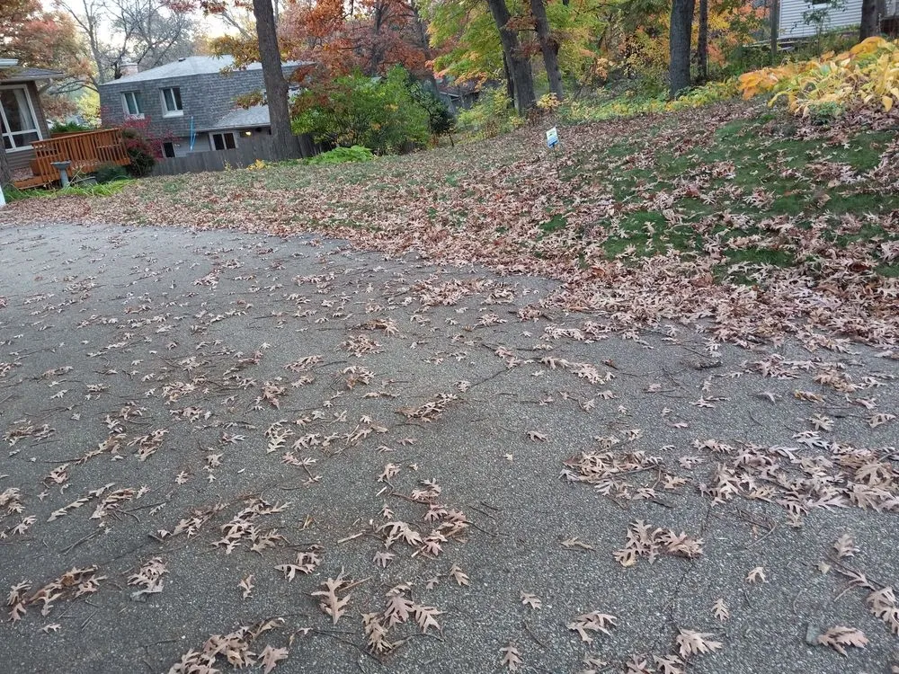 Trusted landscape installation for homes across St. Paul, MN - Quintanilla Lawn Care And Snow Removal