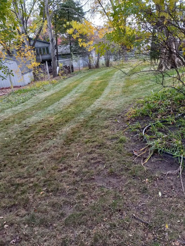Affordable landscaping services in St. Paul, MN by Quintanilla Lawn Care And Snow Removal