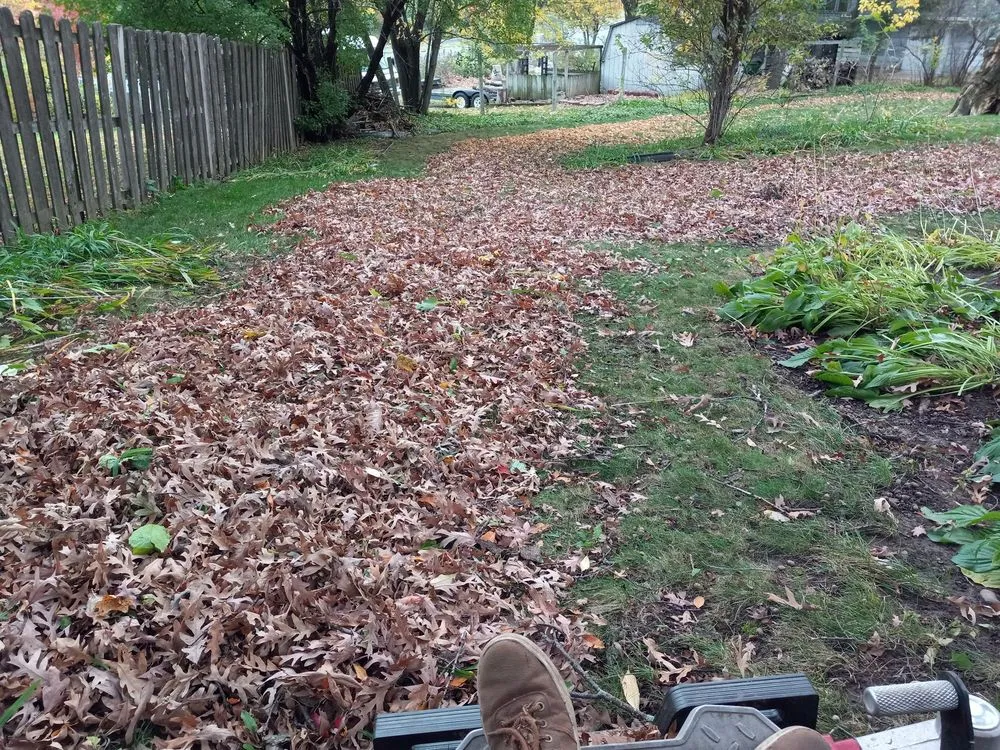 Expert lawn care service in St. Paul, MN by Quintanilla Lawn Care And Snow Removal