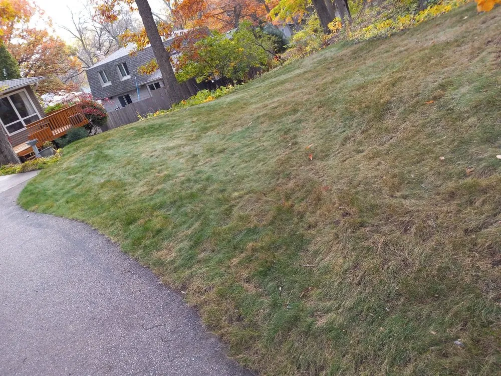Affordable garden landscaping experts serving St. Paul, MN - Quintanilla Lawn Care And Snow Removal
