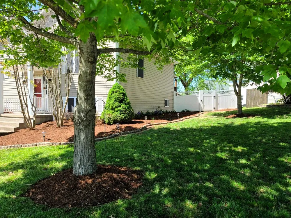 Top-rated landscape design near you across Cape Girardeau, MO - Quintas Landscaping & Lawn Services