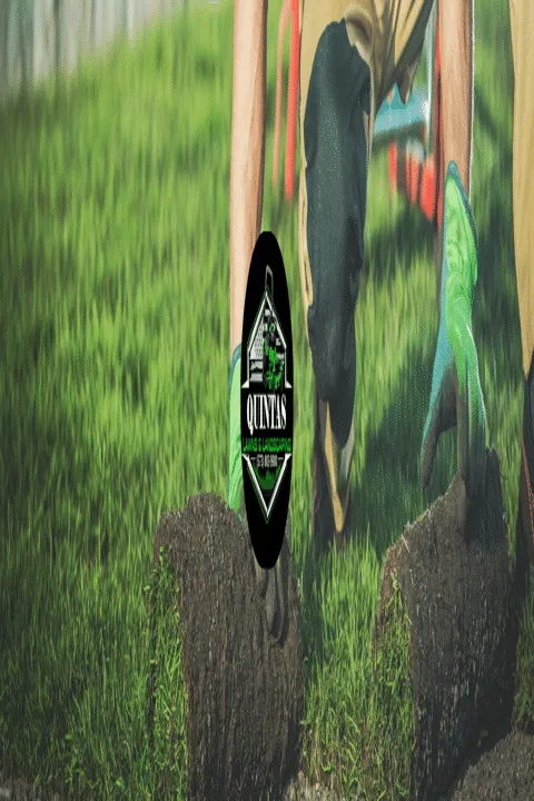 Local residential landscaping in Cape Girardeau, MO - Quintas Landscaping & Lawn Services