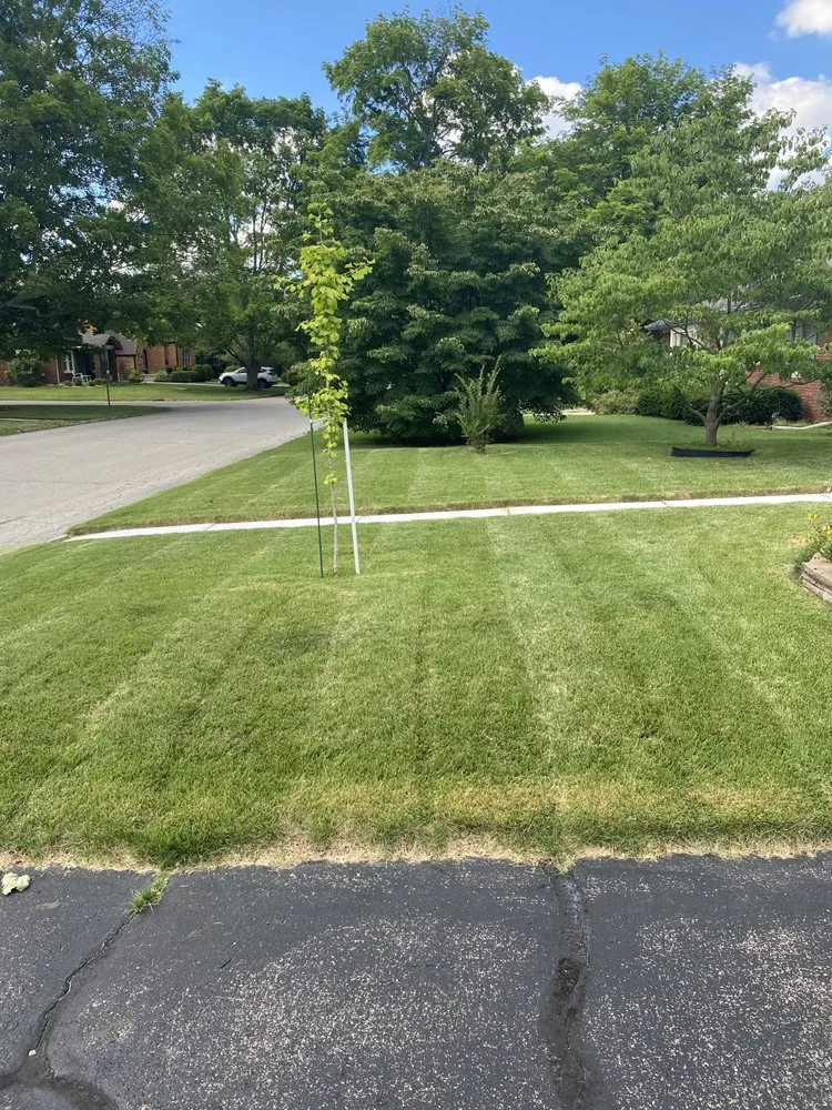 Professional yard maintenance with custom design across Columbus, IN - Quintens lawn care