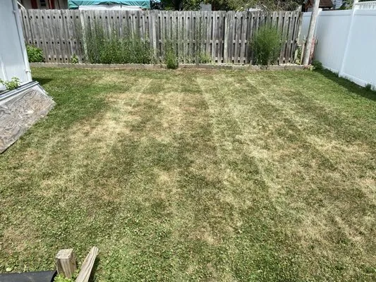 Quintens lawn care Logo