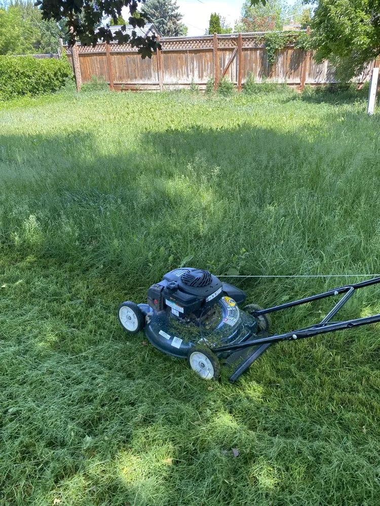 Reliable landscape installation in Twin Falls, ID - Quintero Business