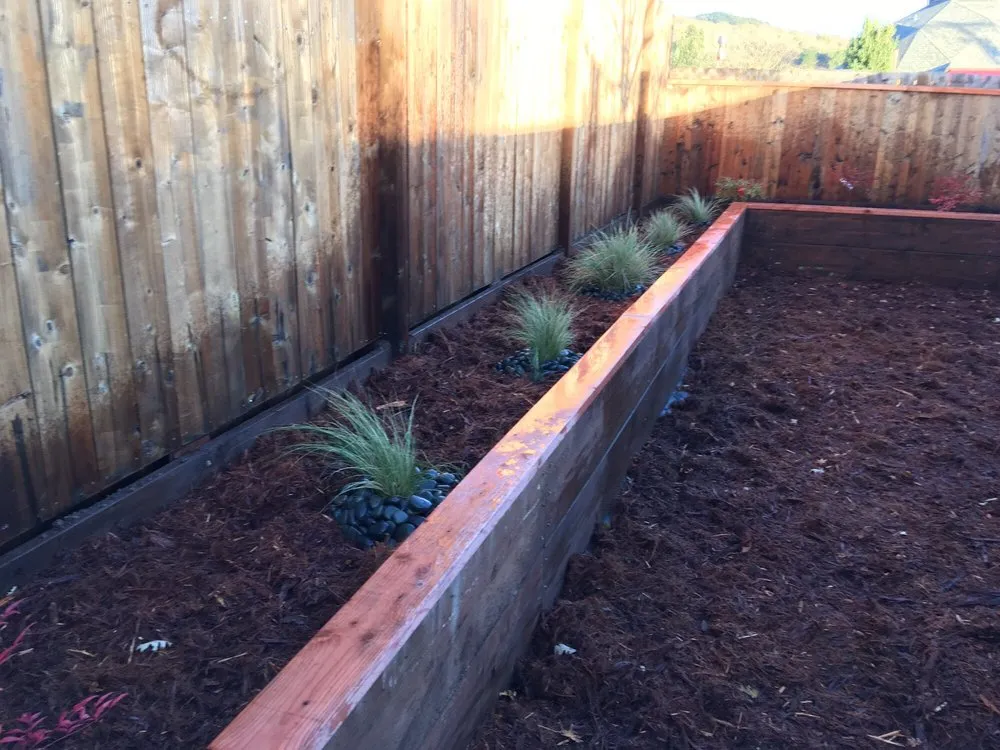 Professional outdoor landscaping with custom design in Richmond, CA by Quintero Landscapes