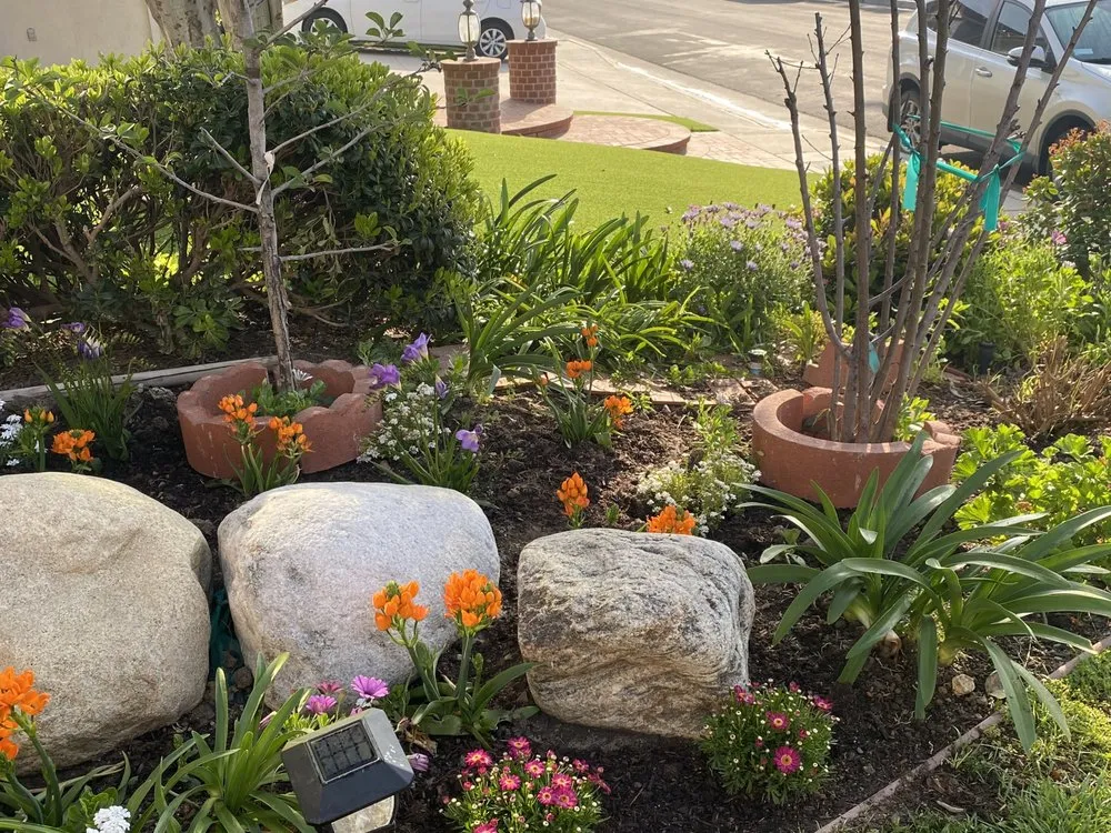 Expert yard cleanup service in San Fernando Valley, CA - Quintero's Landscaping