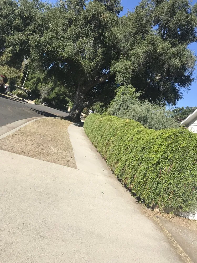 Top-rated landscaping services near you in San Fernando Valley, CA by Quintero's Landscaping