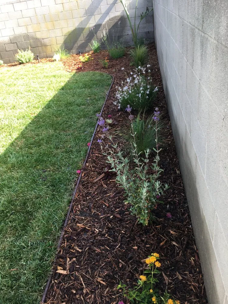 Reliable residential landscaping for residential properties in San Fernando Valley, CA by Quintero's Landscaping