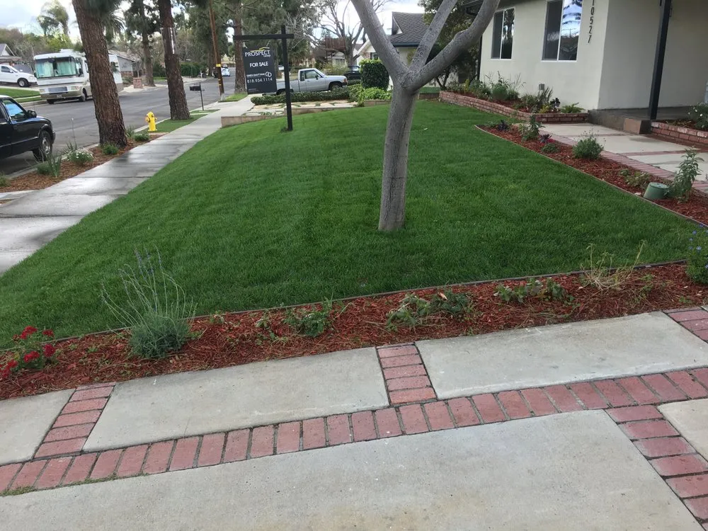 Expert outdoor landscaping for year-round maintenance across San Fernando Valley, CA - Quintero's Landscaping