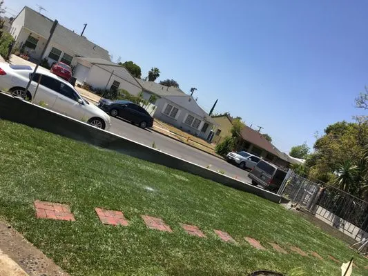 Quintero's Landscaping Logo