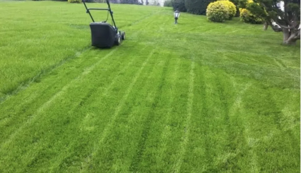 Affordable garden landscaping experts serving Clinton, MD - Quintero’s Landscaping Services