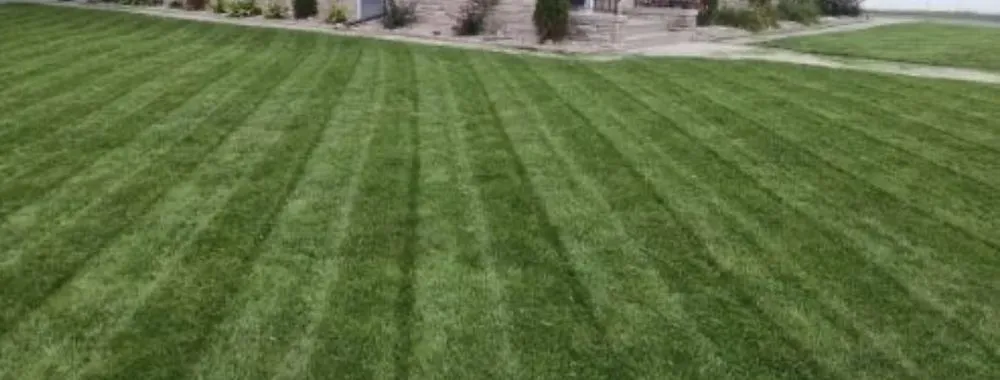 Custom garden landscaping experts serving Clinton, MD - Quintero’s Landscaping Services