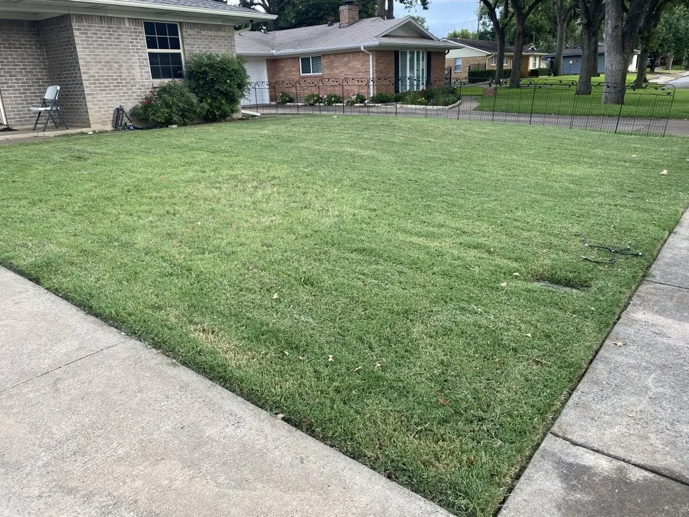 Reliable lawn mowing service for homes in Dallas, TX by Quintero's Lawn Care