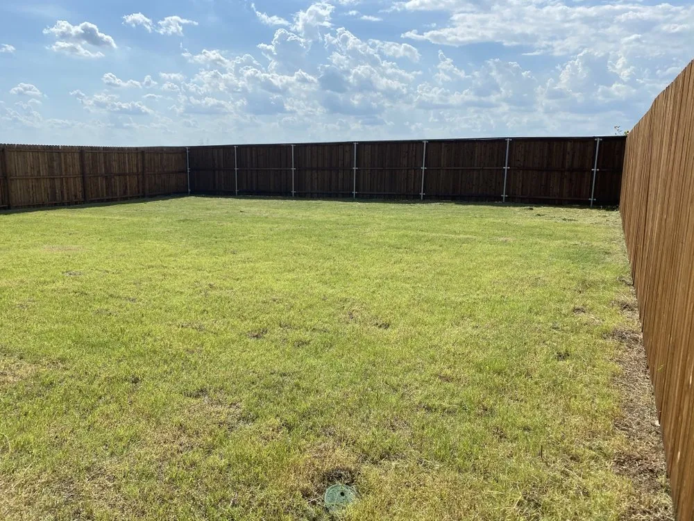 Local yard cleanup service for outdoor upgrades in Dallas, TX by Quintero's Lawn Care