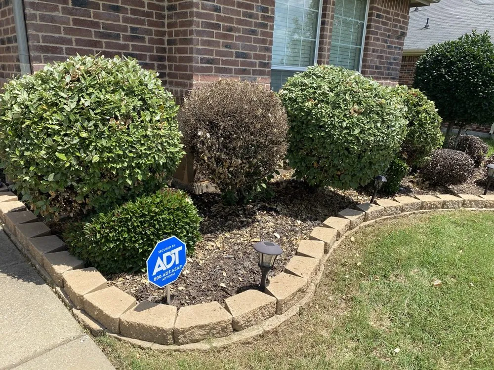 Affordable yard cleanup service in Dallas, TX by Quintero's Lawn Care