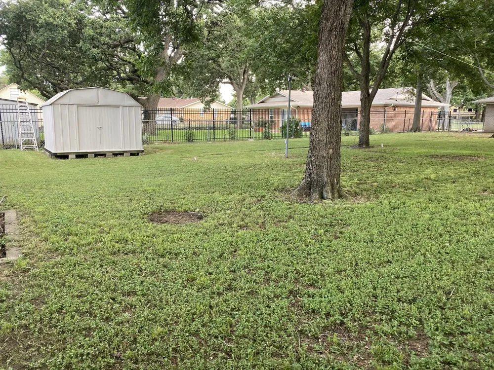 Affordable outdoor landscaping for year-round maintenance in Dallas, TX by Quintero's Lawn Care