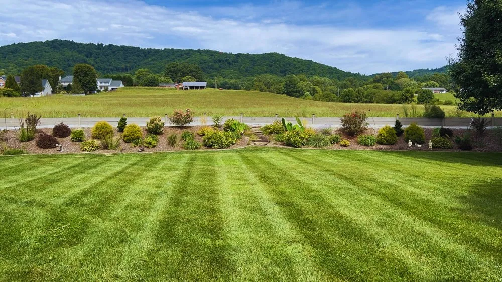 Professional yard maintenance in Asheville, NC by Quintessential Greenscapes