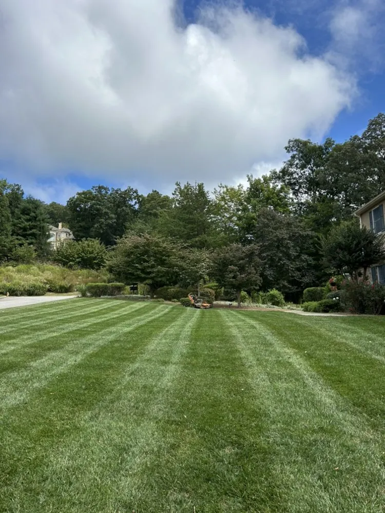 Expert landscape installation in Asheville, NC - Quintessential Greenscapes