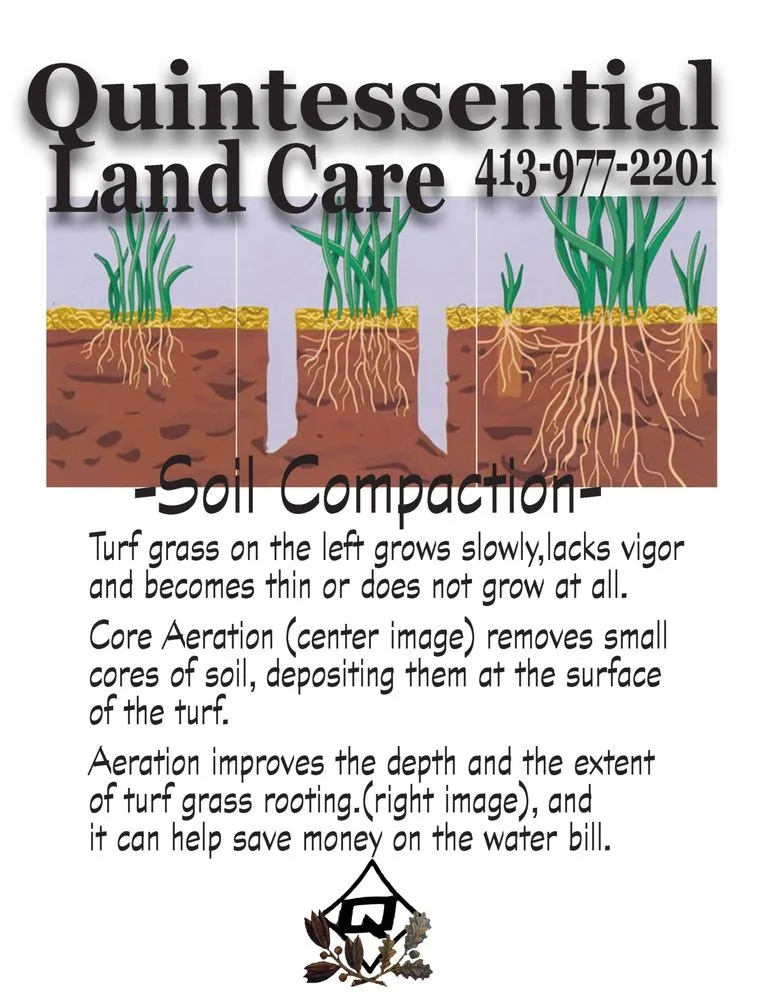 Reliable lawn care service in Westfield, MA - Quintessential Land Care