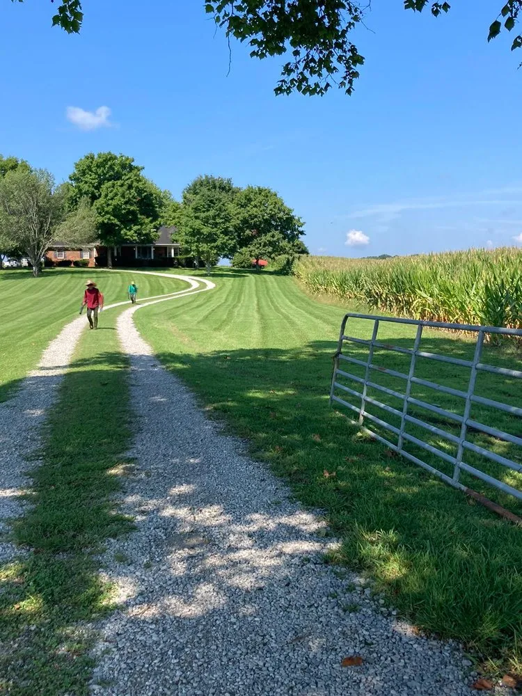 Expert lawn care service for outdoor upgrades across Shelbyville, TN - Quiñonez Lawn Care