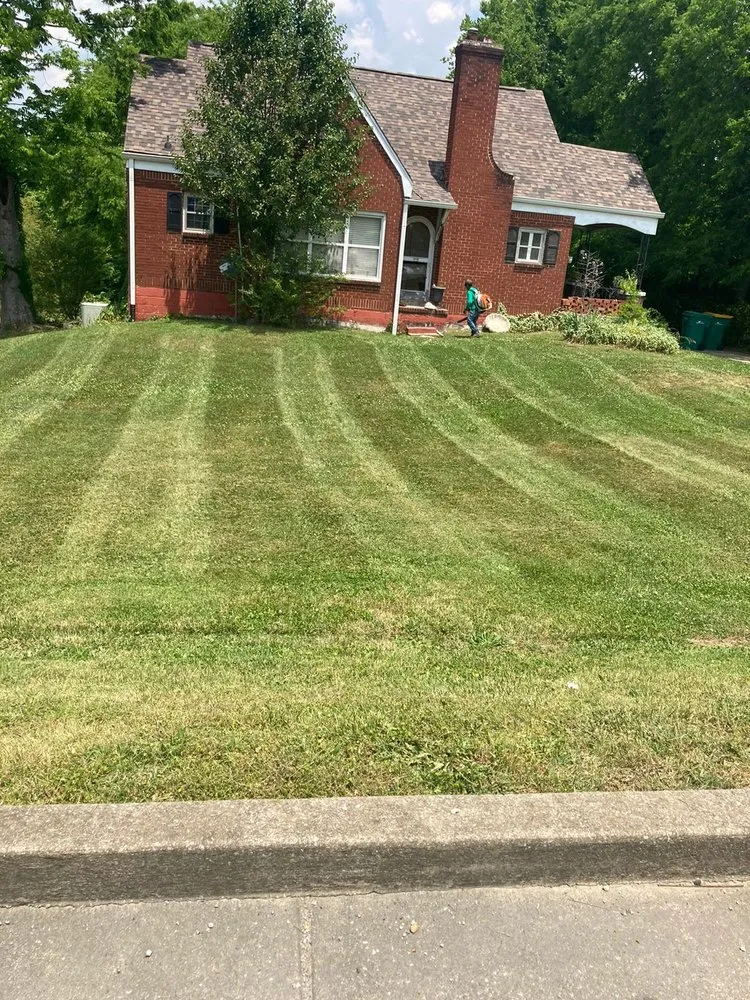 Affordable residential landscaping for year-round maintenance in Shelbyville, TN by Quiñonez Lawn Care