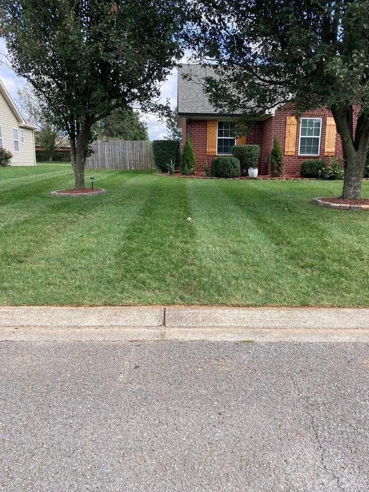 Expert yard cleanup service in Shelbyville, TN by Quiñonez Lawn Care