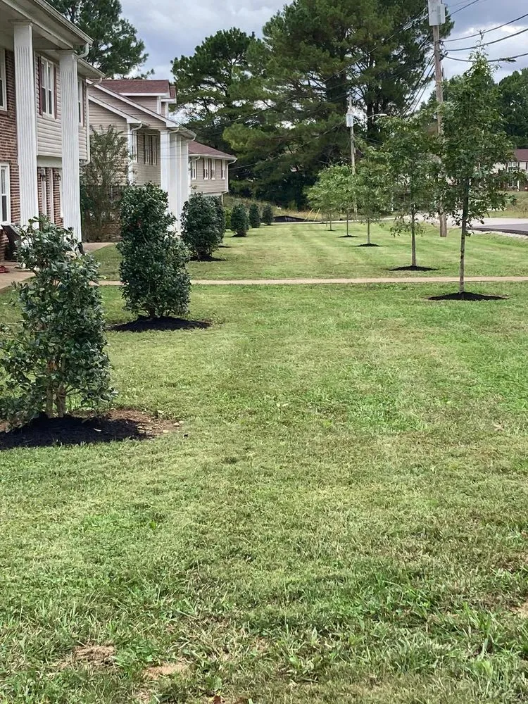 Custom landscaping services for year-round maintenance across Shelbyville, TN - Quiñonez Lawn Care