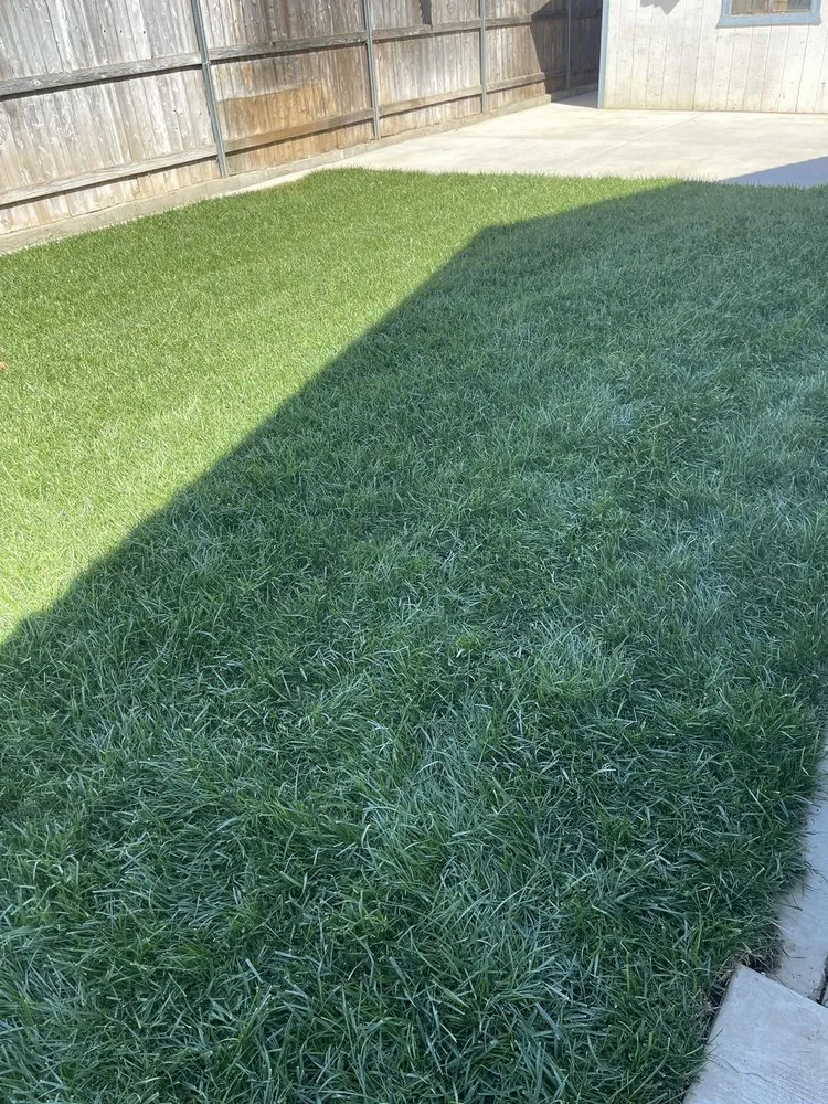 Reliable yard cleanup service in Elk Grove, CA - QV Landscaping & Maintenance