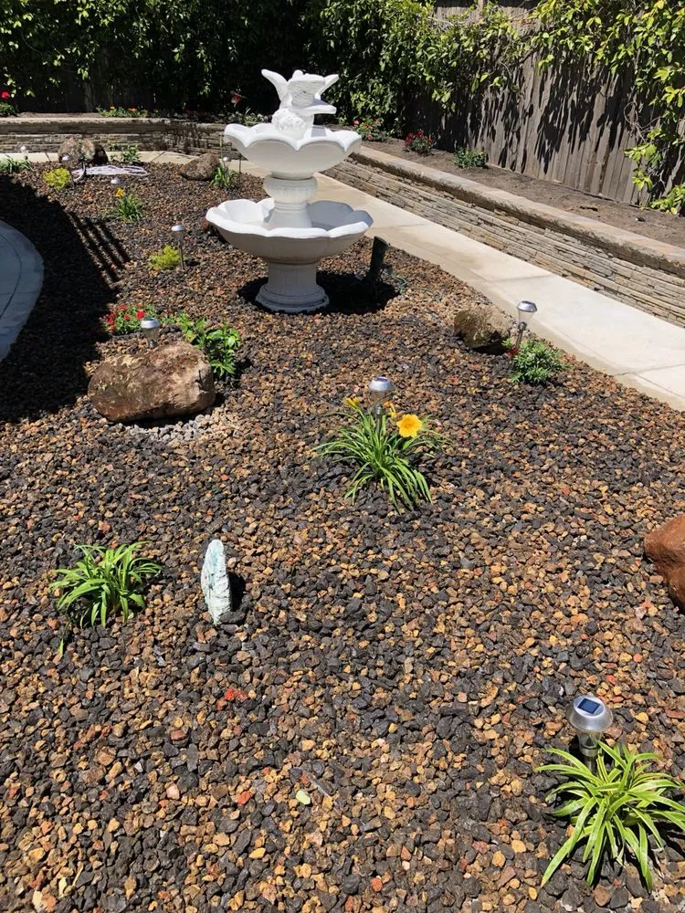 Trusted yard maintenance experts serving Elk Grove, CA - QV Landscaping & Maintenance